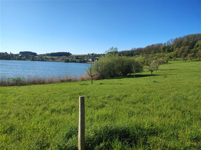 Umgebung am Schalkenmehrener Maar 15
