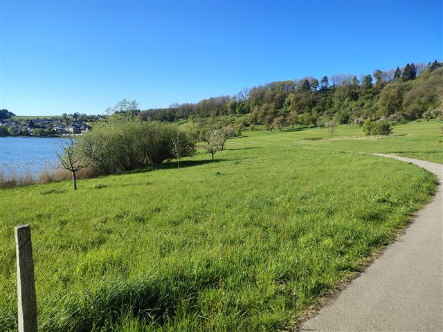 Umgebung am Schalkenmehrener Maar 16
