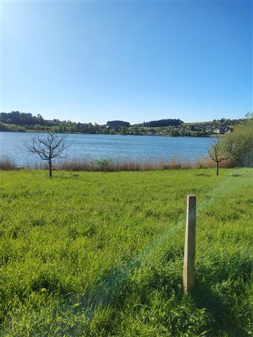 Umgebung am Schalkenmehrener Maar 18