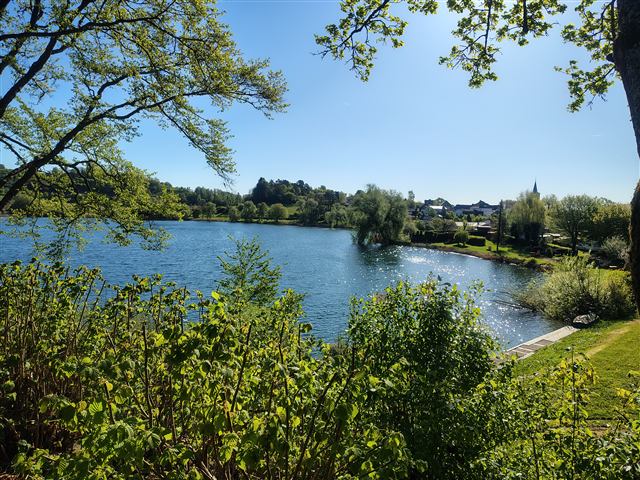 Umgebung am Schalkenmehrener Maar 2