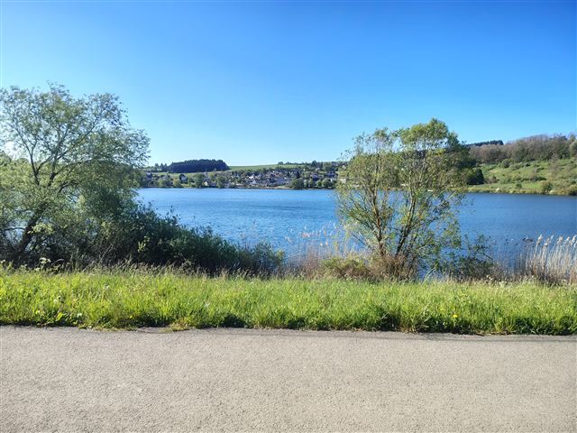 Umgebung am Schalkenmehrener Maar 21