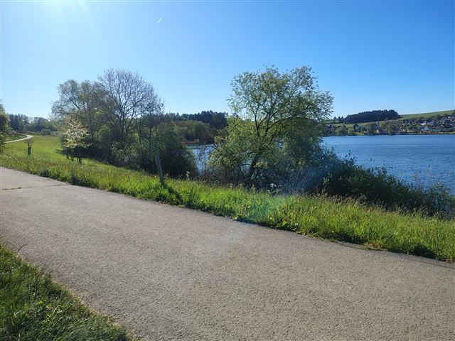 Umgebung am Schalkenmehrener Maar 24