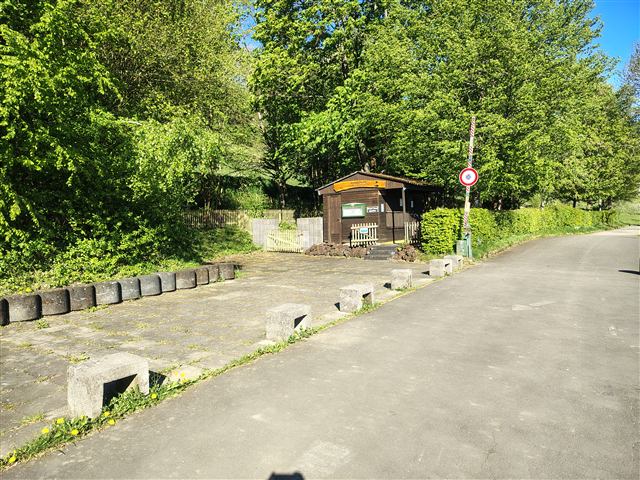 Umgebung am Schalkenmehrener Maar 6
