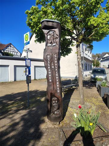 Umgebung am Schalkenmehrener Maar